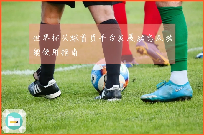 世界杯买球首页平台发展动态及功能使用指南