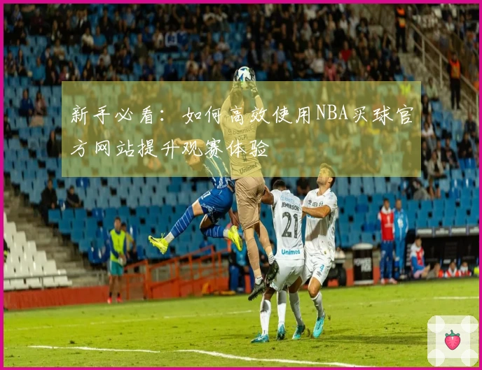 新手必看：如何高效使用NBA买球官方网站提升观赛体验