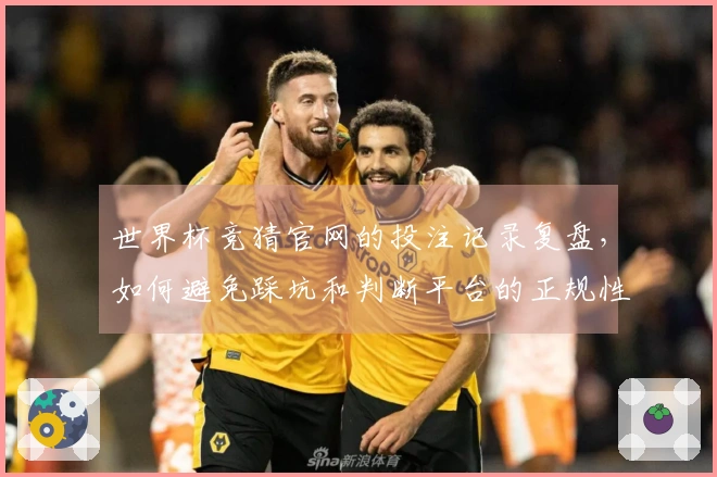 世界杯竞猜官网的投注记录复盘，如何避免踩坑和判断平台的正规性？