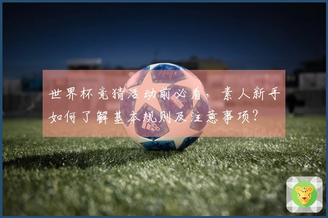 世界杯竞猜活动前必看，素人新手如何了解基本规则及注意事项？