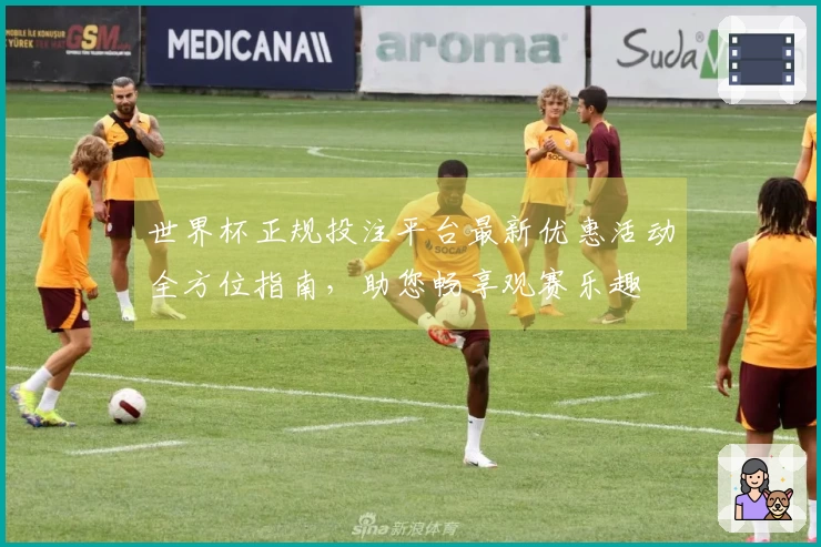 世界杯正规投注平台最新优惠活动全方位指南，助您畅享观赛乐趣
