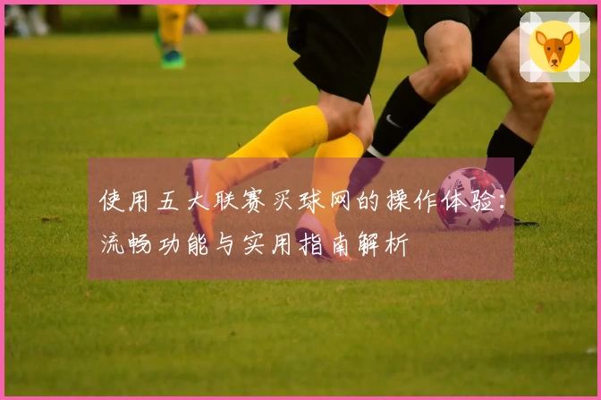 使用五大联赛买球网的操作体验：流畅功能与实用指南解析