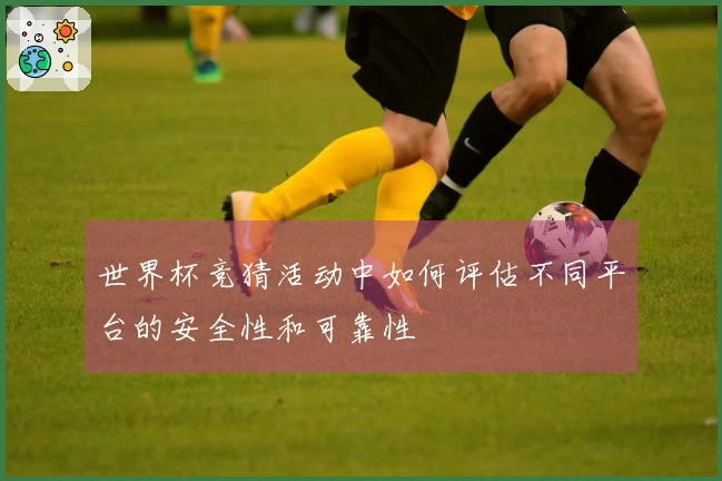 世界杯竞猜活动中如何评估不同平台的安全性和可靠性