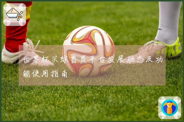世界杯买球首页平台发展动态及功能使用指南