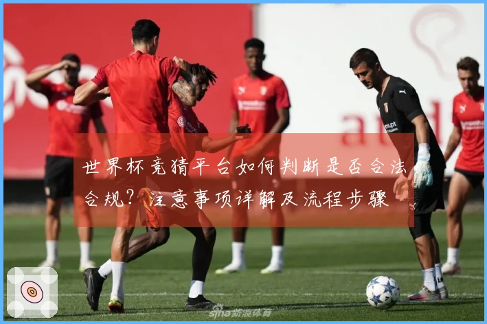 世界杯竞猜平台如何判断是否合法合规？注意事项详解及流程步骤