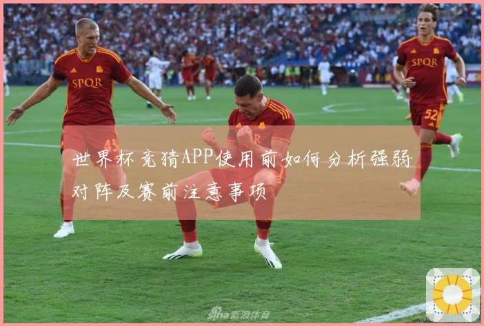 世界杯竞猜APP使用前如何分析强弱对阵及赛前注意事项