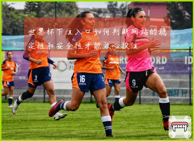 世界杯下注入口如何判断网站的稳定性和安全性才能放心投注