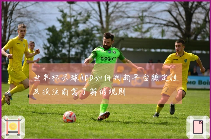 世界杯买球App如何判断平台稳定性及投注前需了解的规则