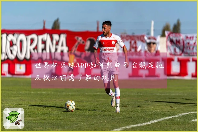 世界杯买球App如何判断平台稳定性及投注前需了解的规则
