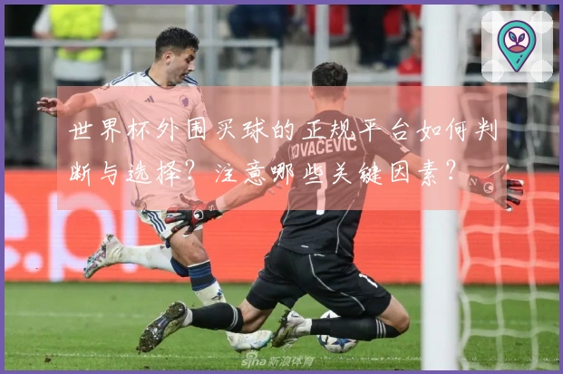 世界杯外围买球的正规平台如何判断与选择？注意哪些关键因素？