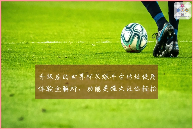 升级后的世界杯买球平台地址使用体验全解析，功能更强大让你轻松畅享赛事直播