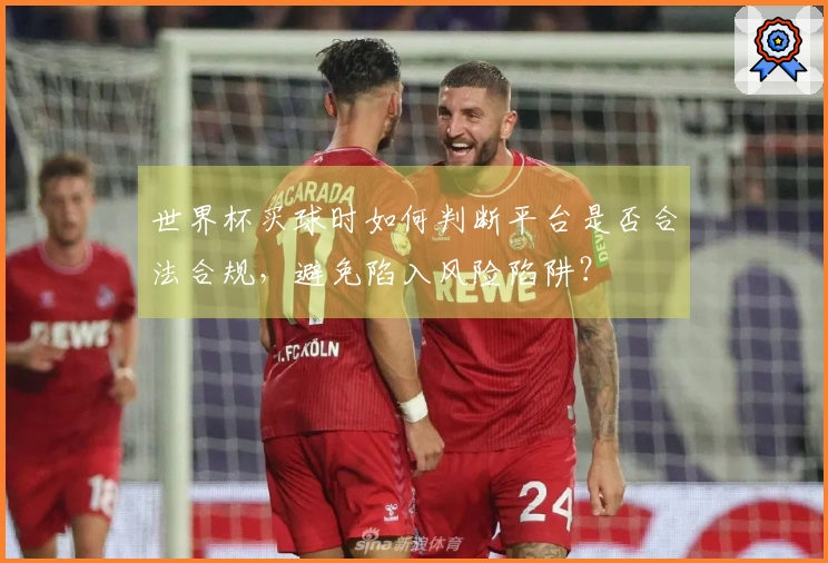 世界杯买球时如何判断平台是否合法合规，避免陷入风险陷阱？