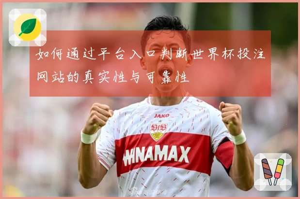 如何通过平台入口判断世界杯投注网站的真实性与可靠性