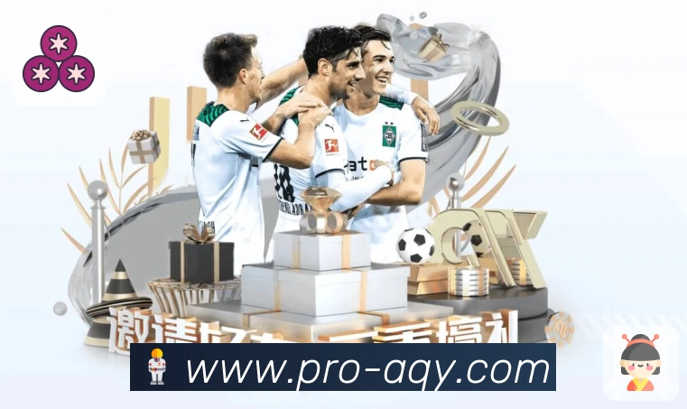 爱奇艺易用支持